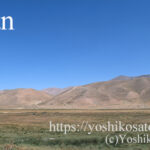 Iran caspian horse